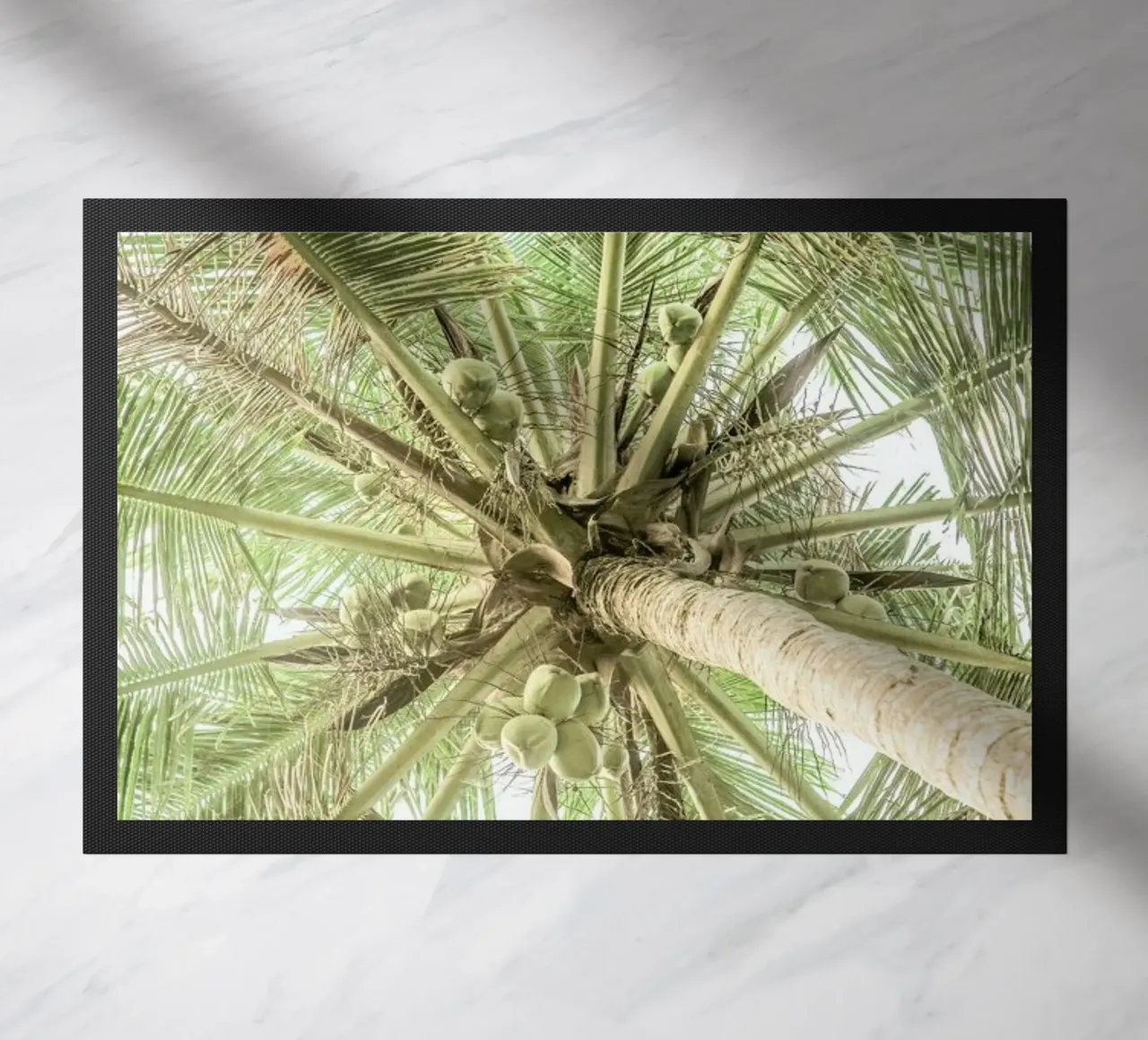 Coco zerbino da Shot By Clint