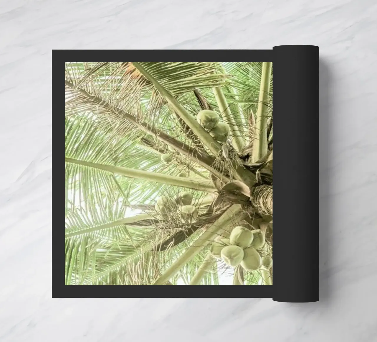 Coco zerbino da Shot By Clint