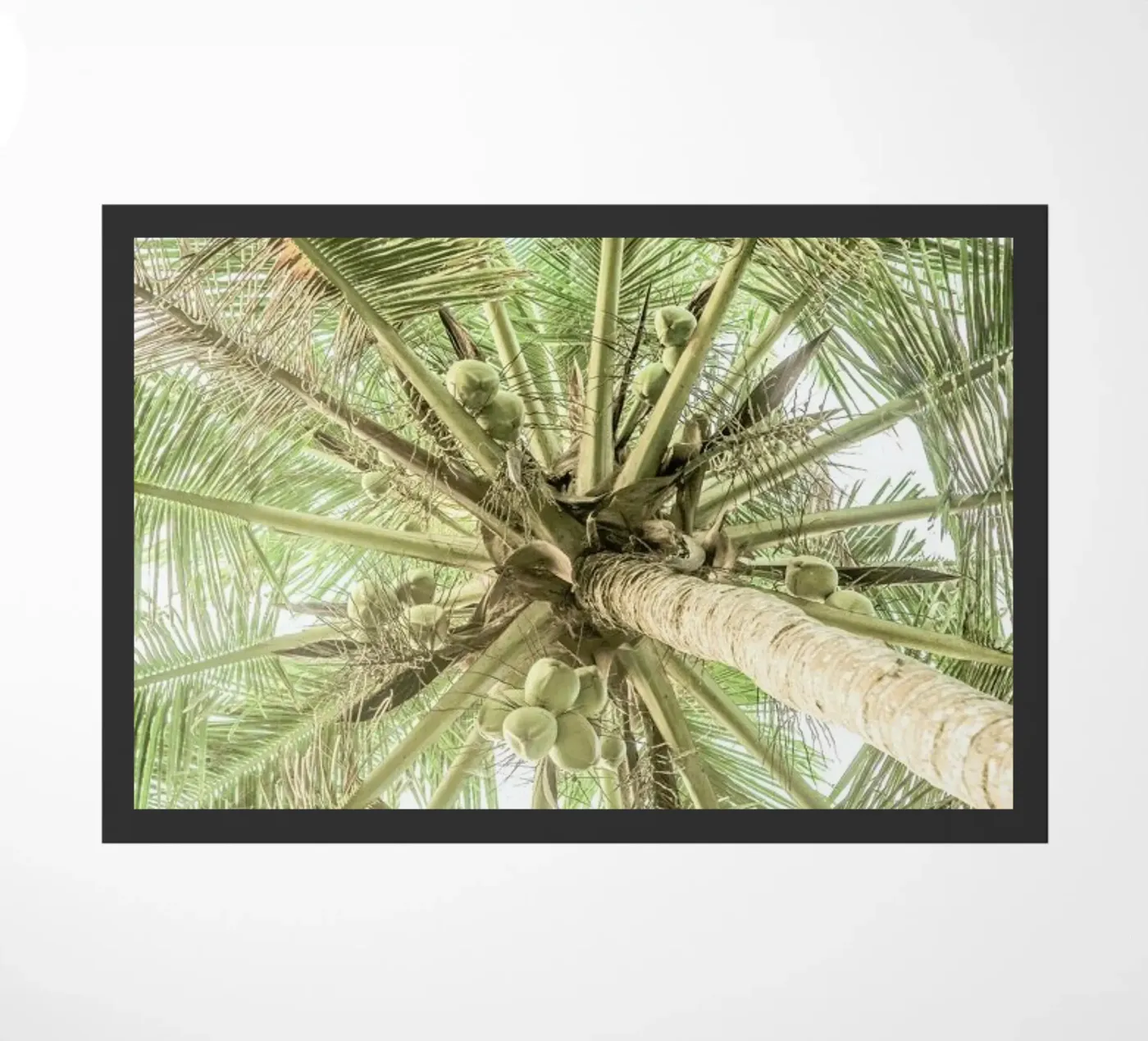 Coco paillasson de Shot By Clint