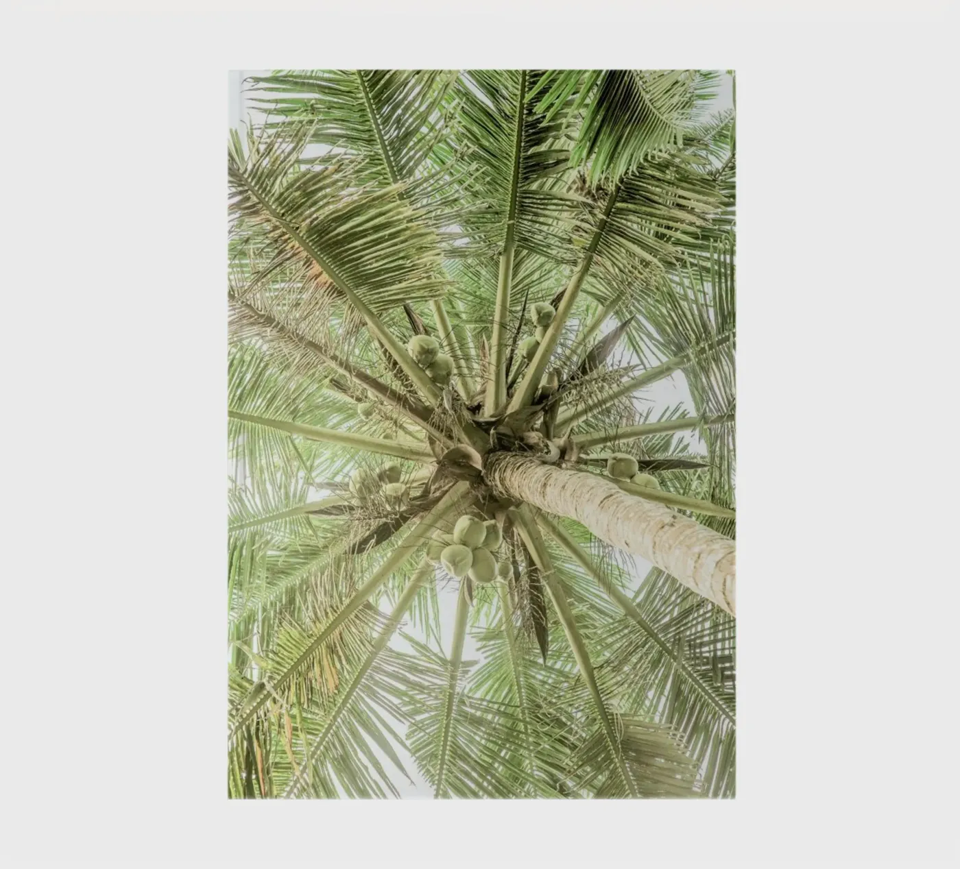 Coco notebook by Shot By Clint