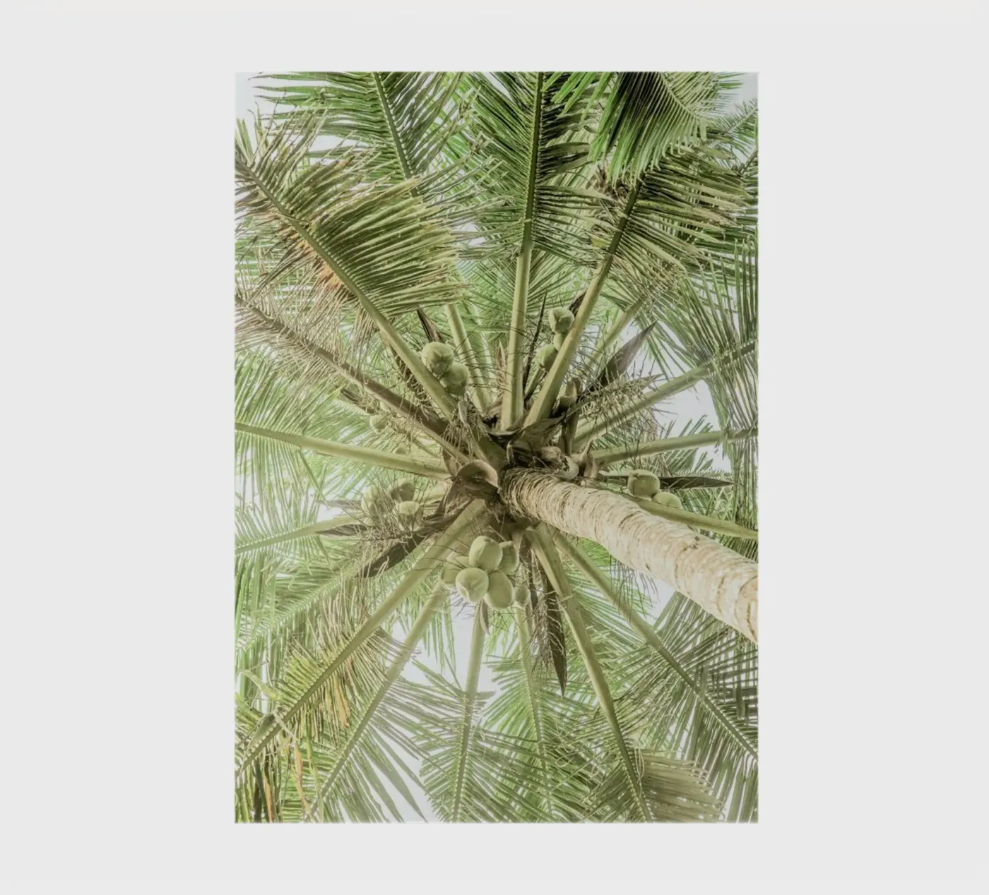 Coco notebook by Shot By Clint