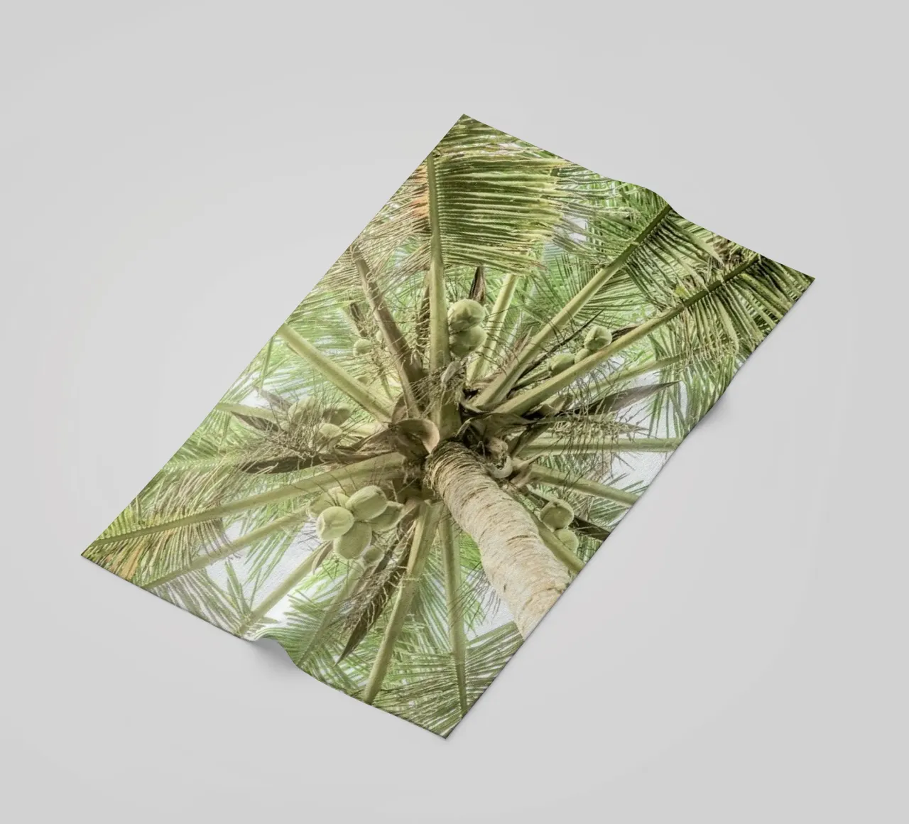 Coco beach towel by Shot By Clint