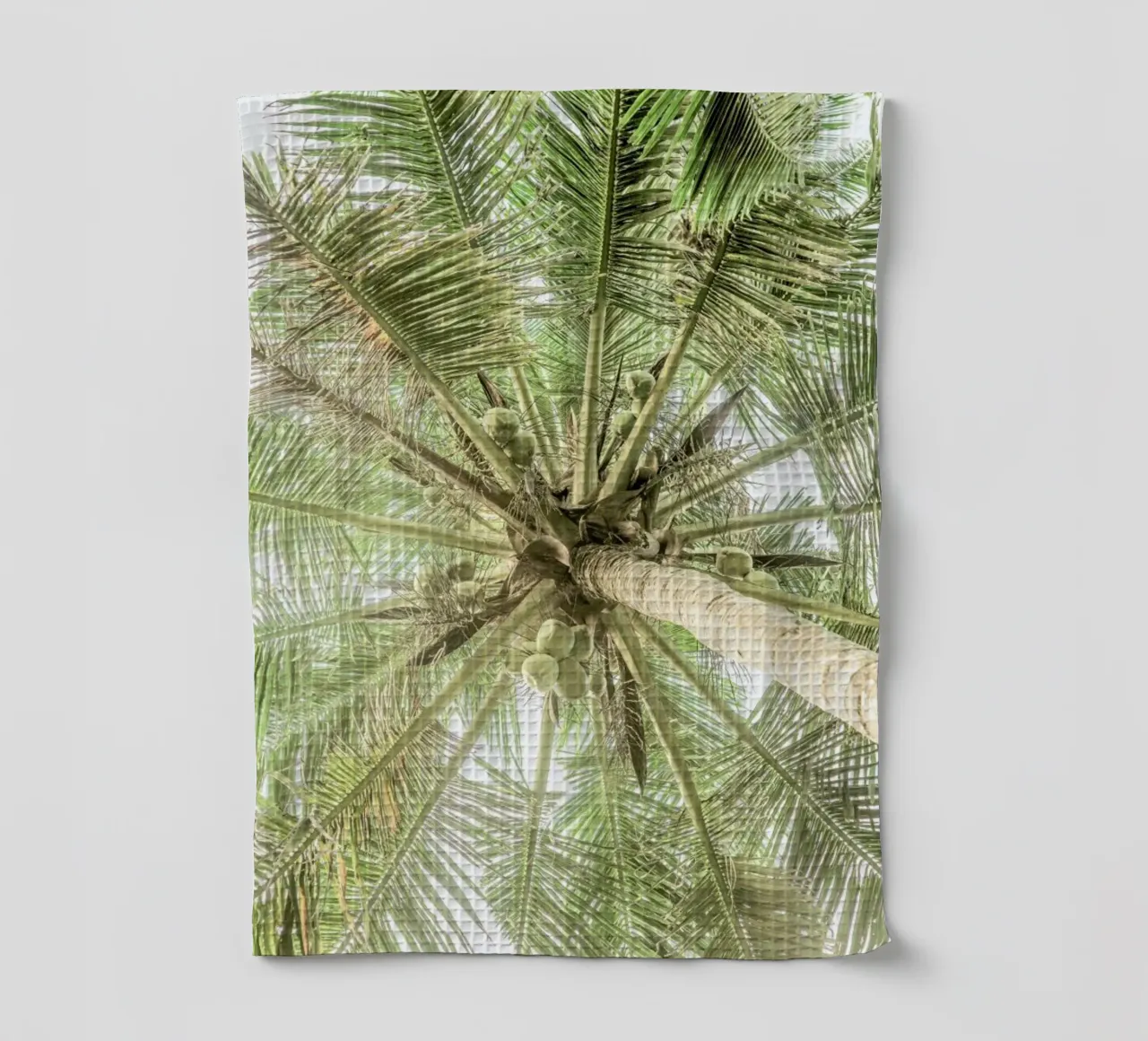 Coco torchon de Shot By Clint