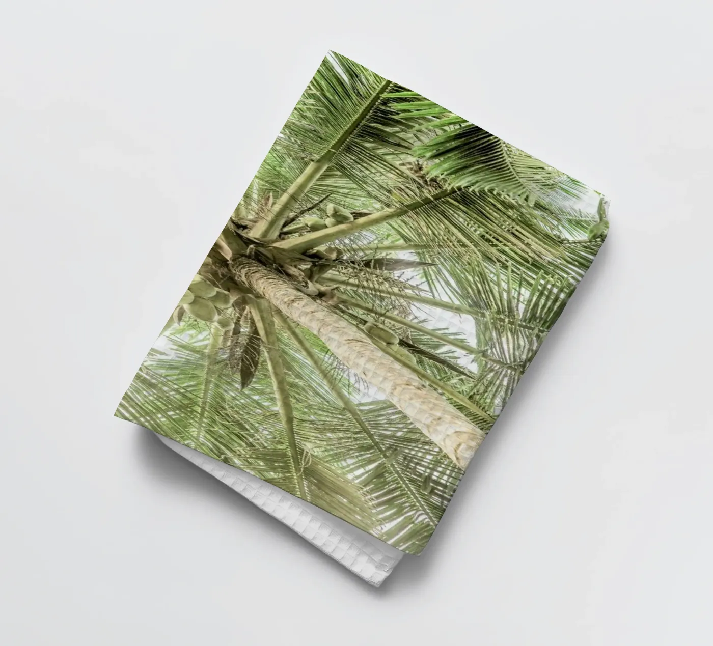 Coco Geschirrtuch von Shot By Clint