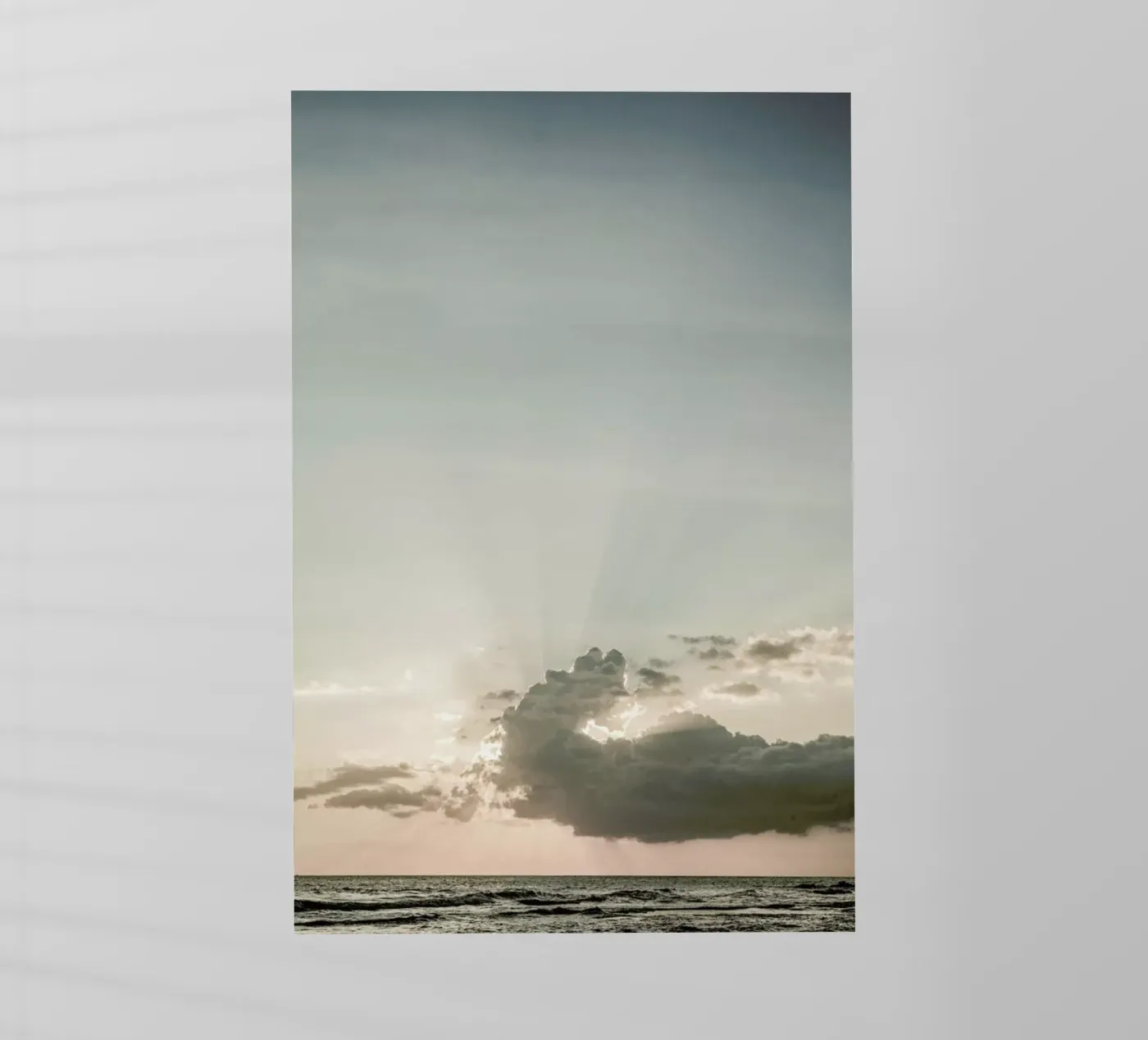 New Light pellicola backlit da Shot By Clint