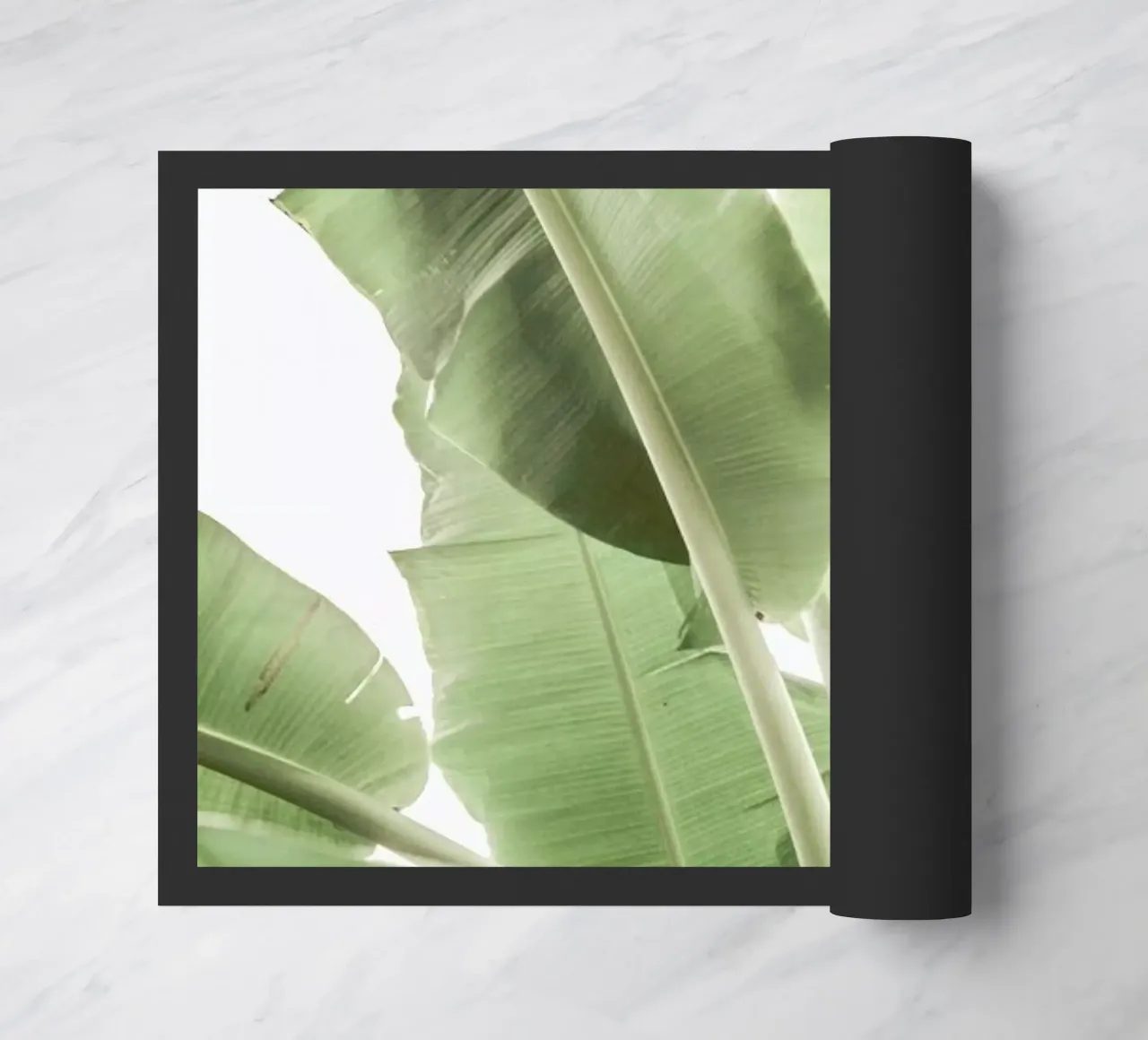 Full Bloom zerbino da Shot By Clint