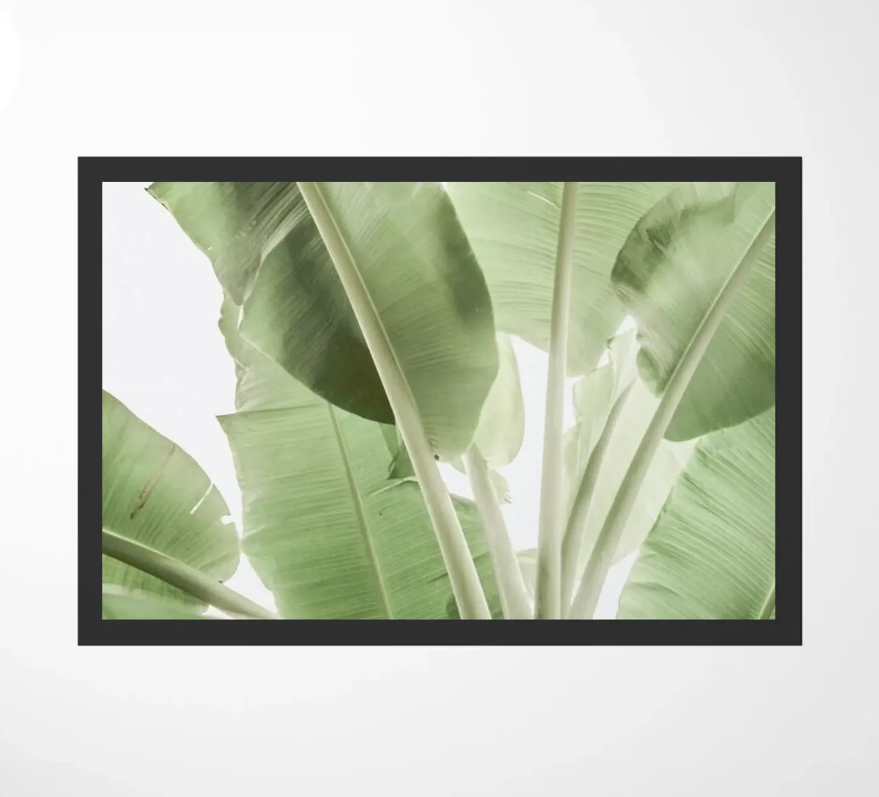 Full Bloom zerbino da Shot By Clint