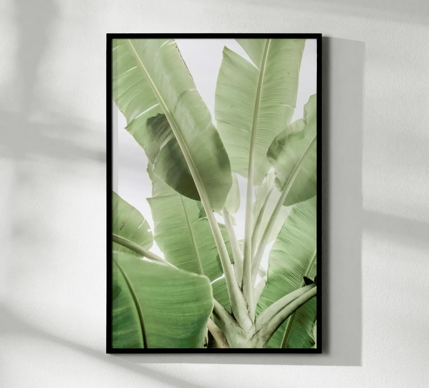 Full Bloom poster van Shot By Clint