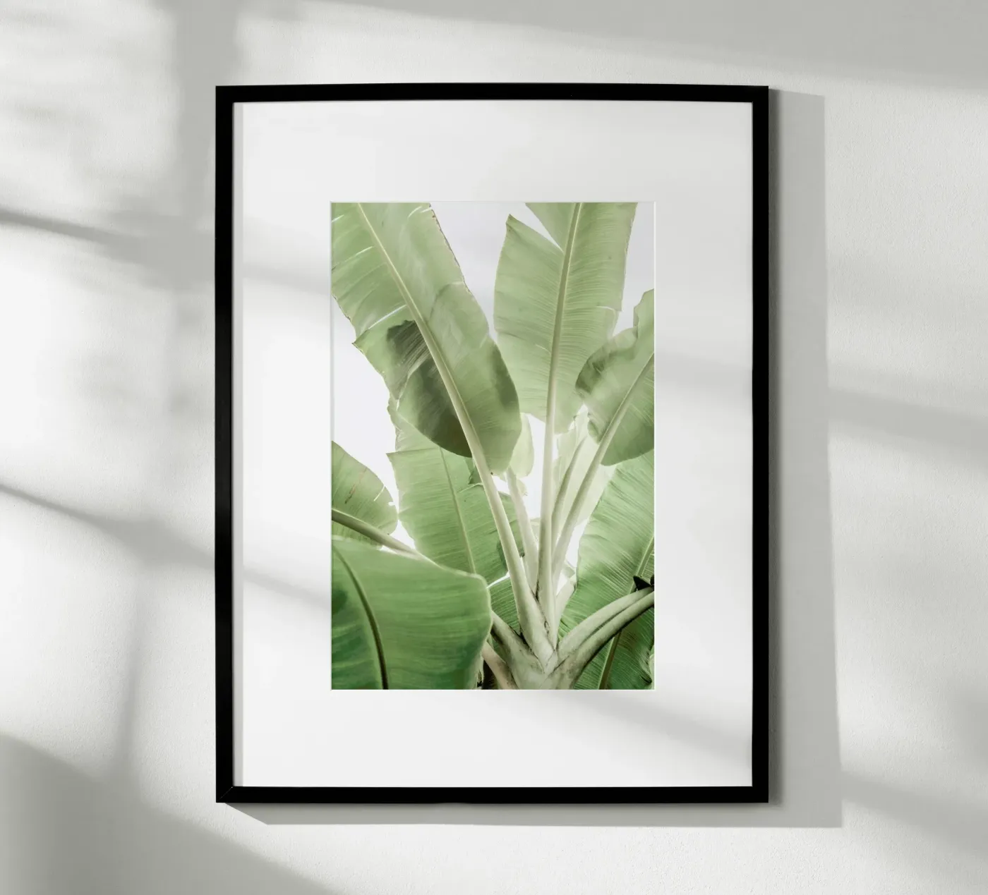 Full Bloom poster van Shot By Clint