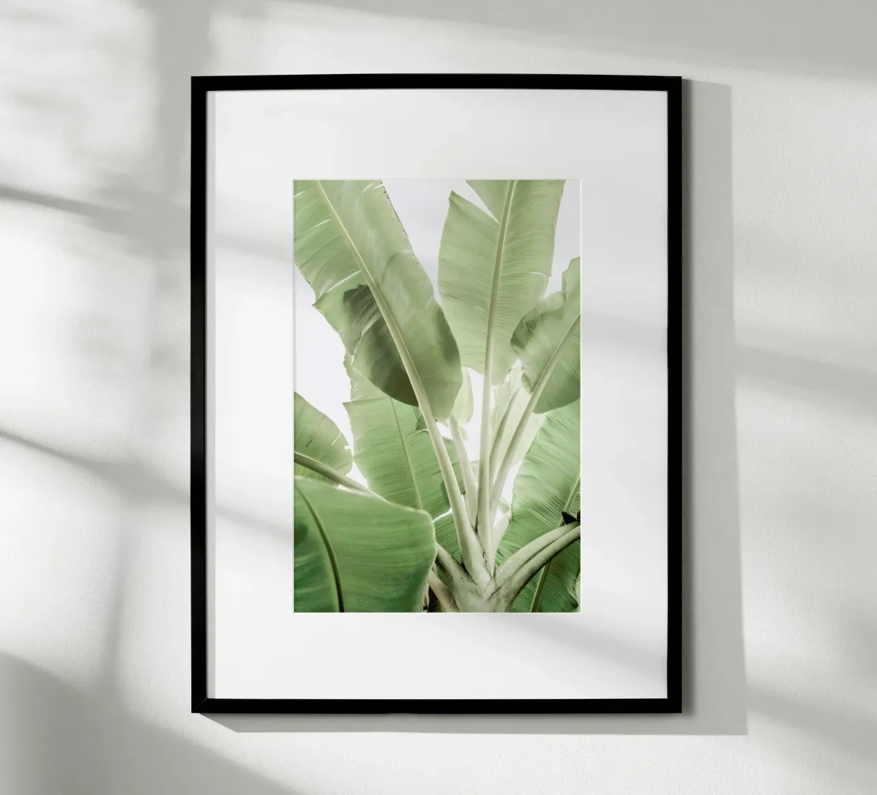 Full Bloom poster van Shot By Clint