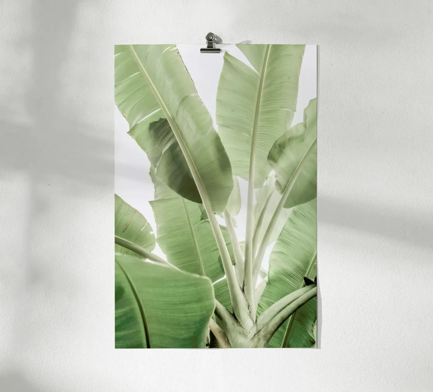 Full Bloom poster van Shot By Clint