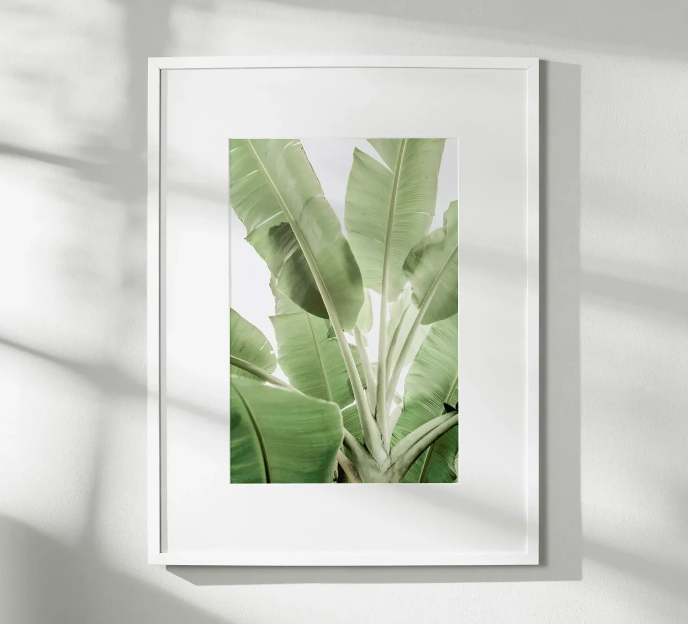 Full Bloom poster van Shot By Clint