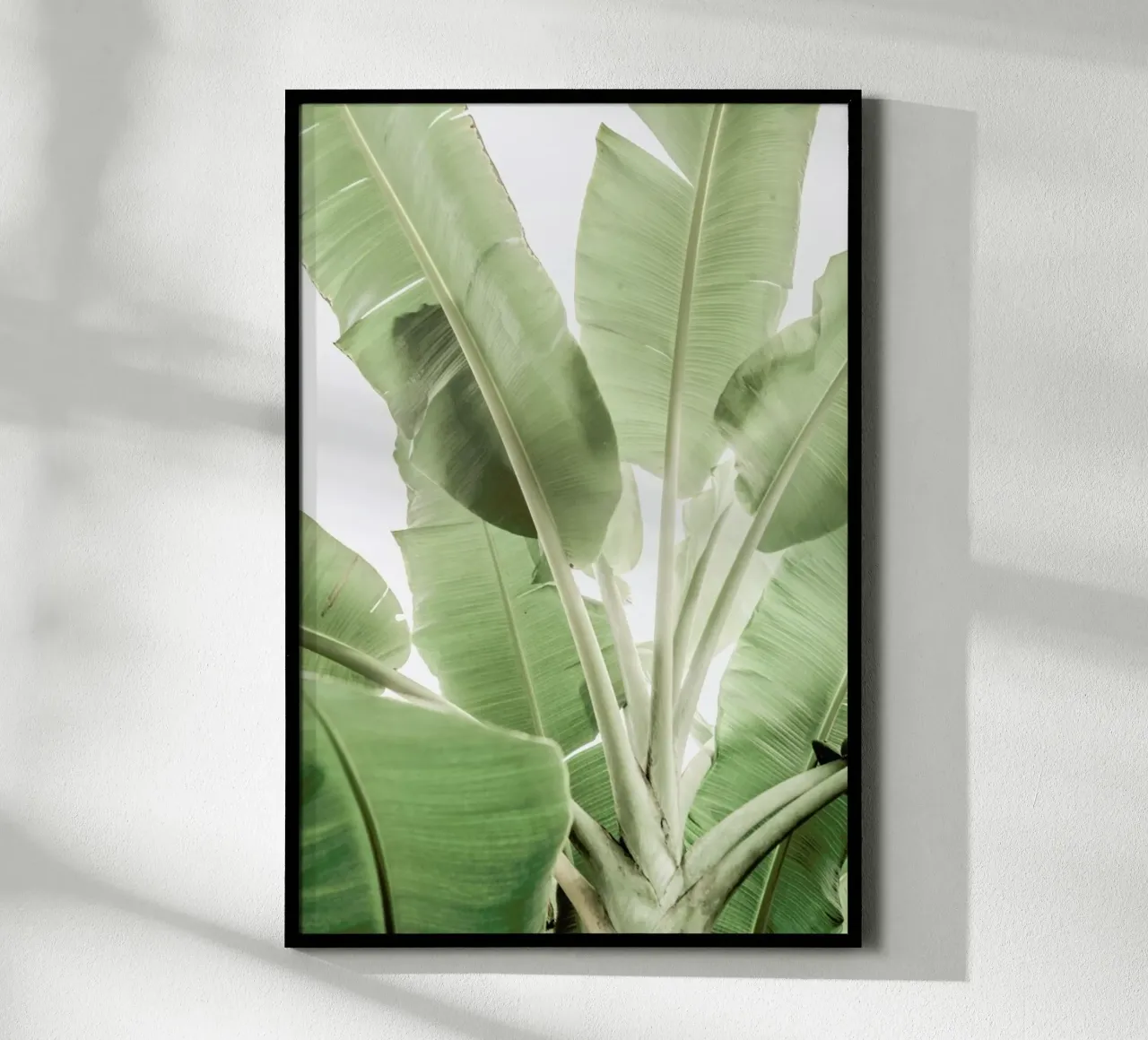 Full Bloom poster van Shot By Clint