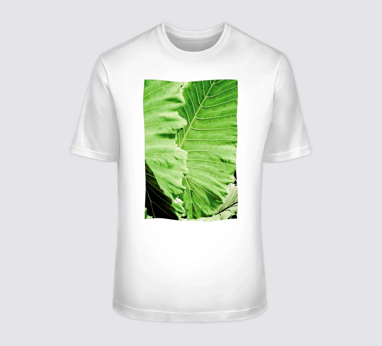Elephants Ears t-shirt da Shot By Clint