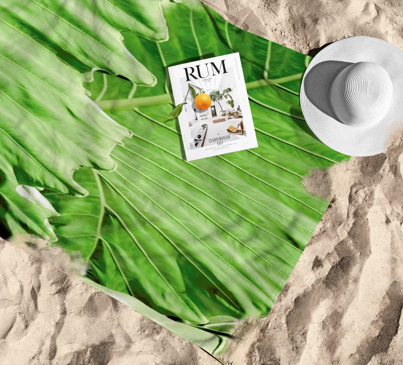 Elephants Ears telo mare da Shot By Clint