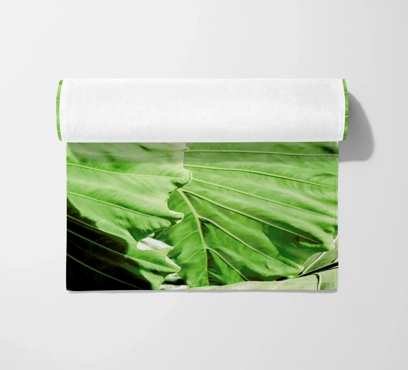 Elephants Ears telo mare da Shot By Clint