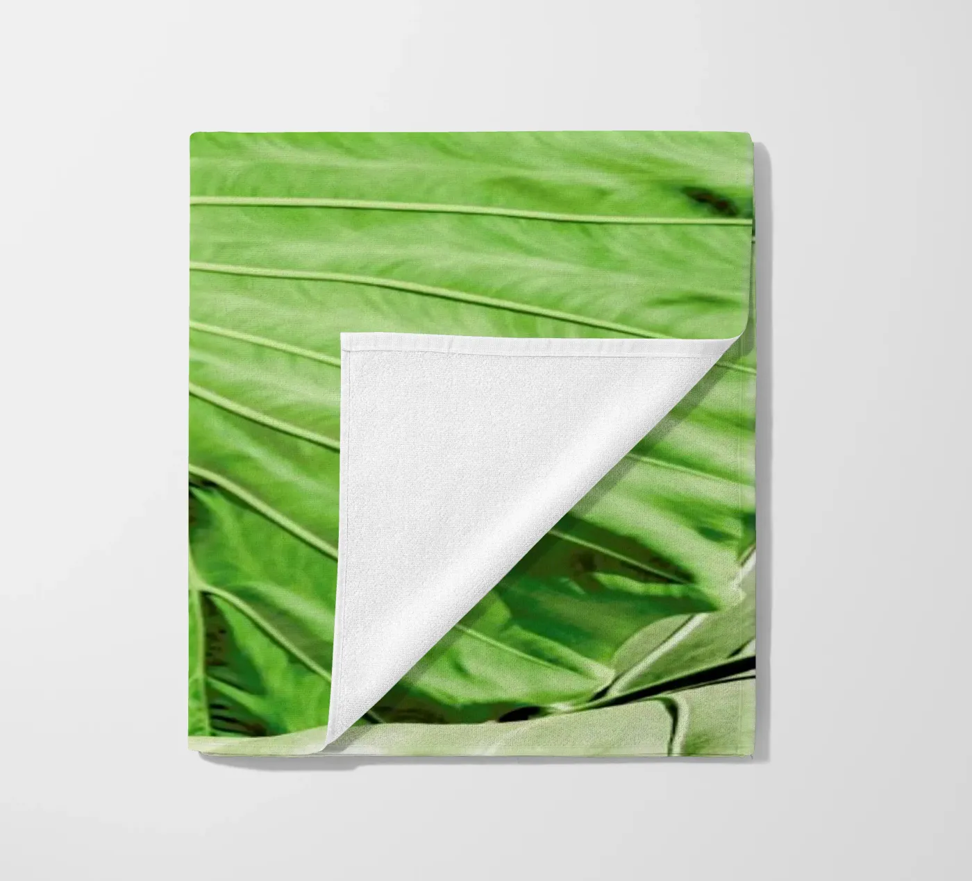 Elephants Ears telo mare da Shot By Clint