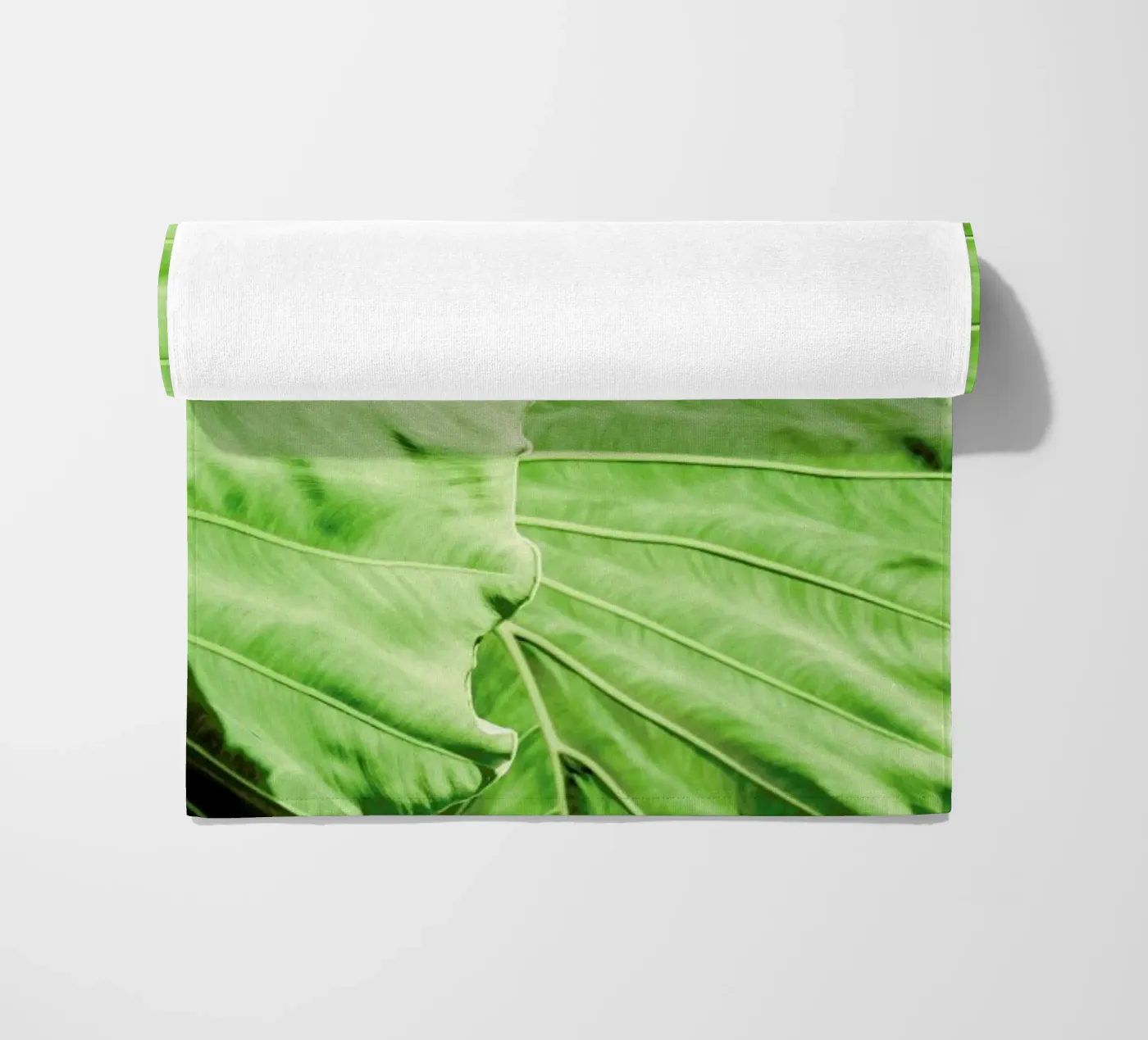 Elephants Ears telo mare da Shot By Clint