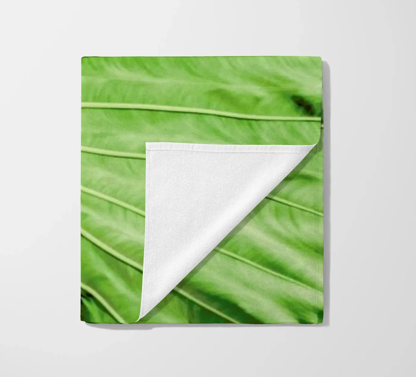 Elephants Ears telo mare da Shot By Clint