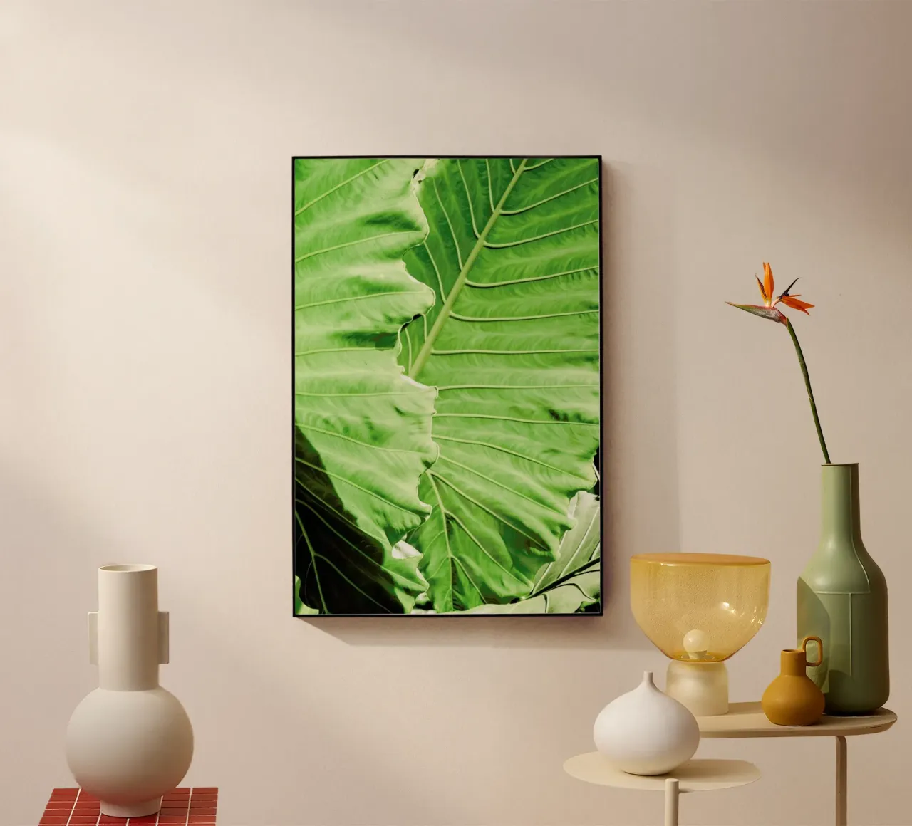 Elephants Ears plexiglass da Shot By Clint