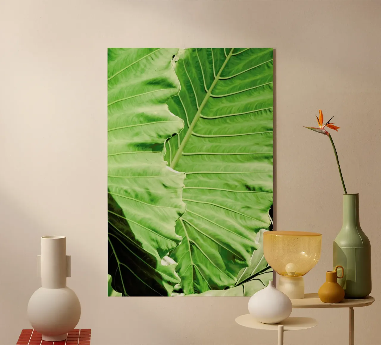 Elephants Ears plexiglass da Shot By Clint