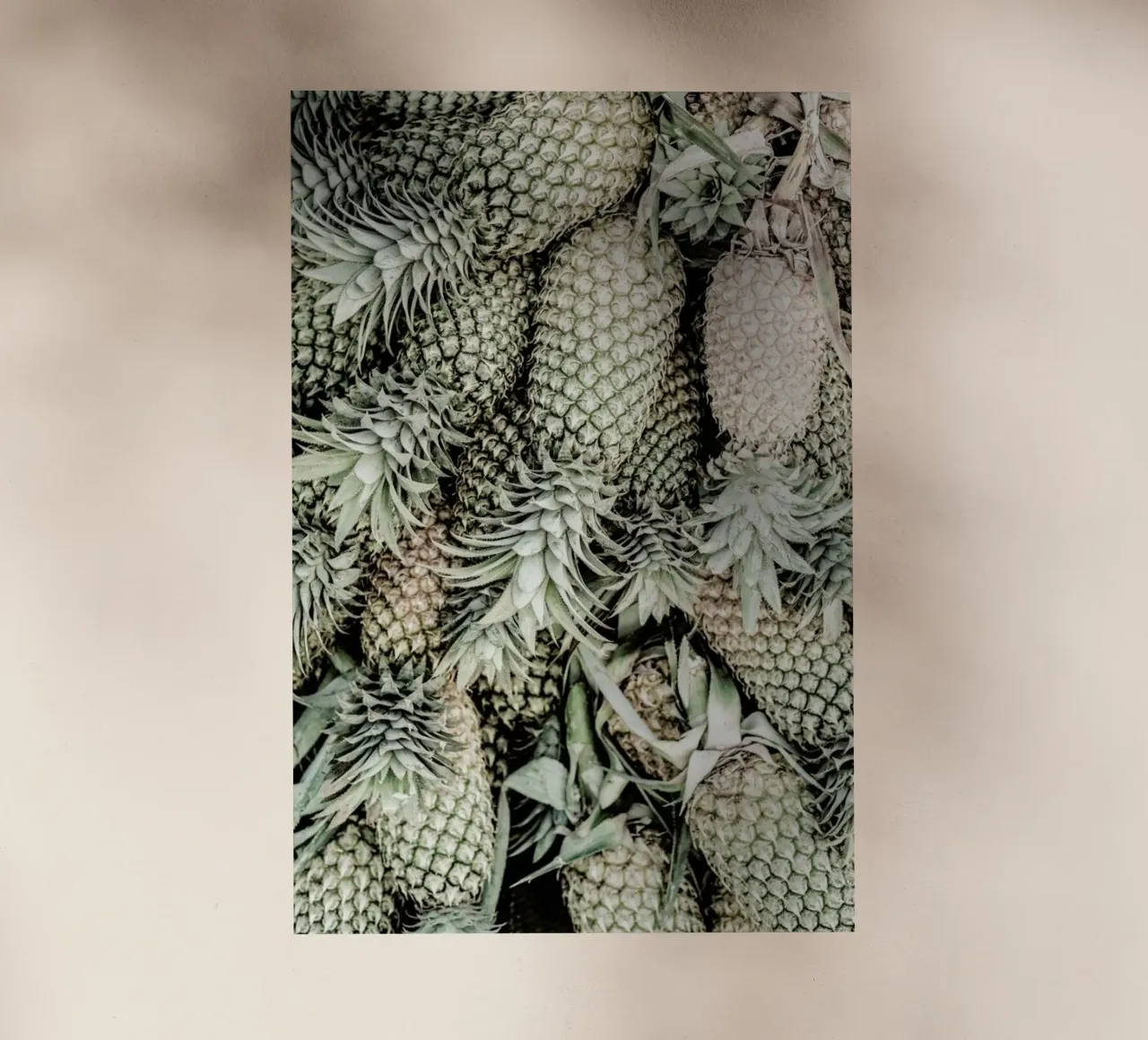 Spiced Pine pellicola backlit da Shot By Clint