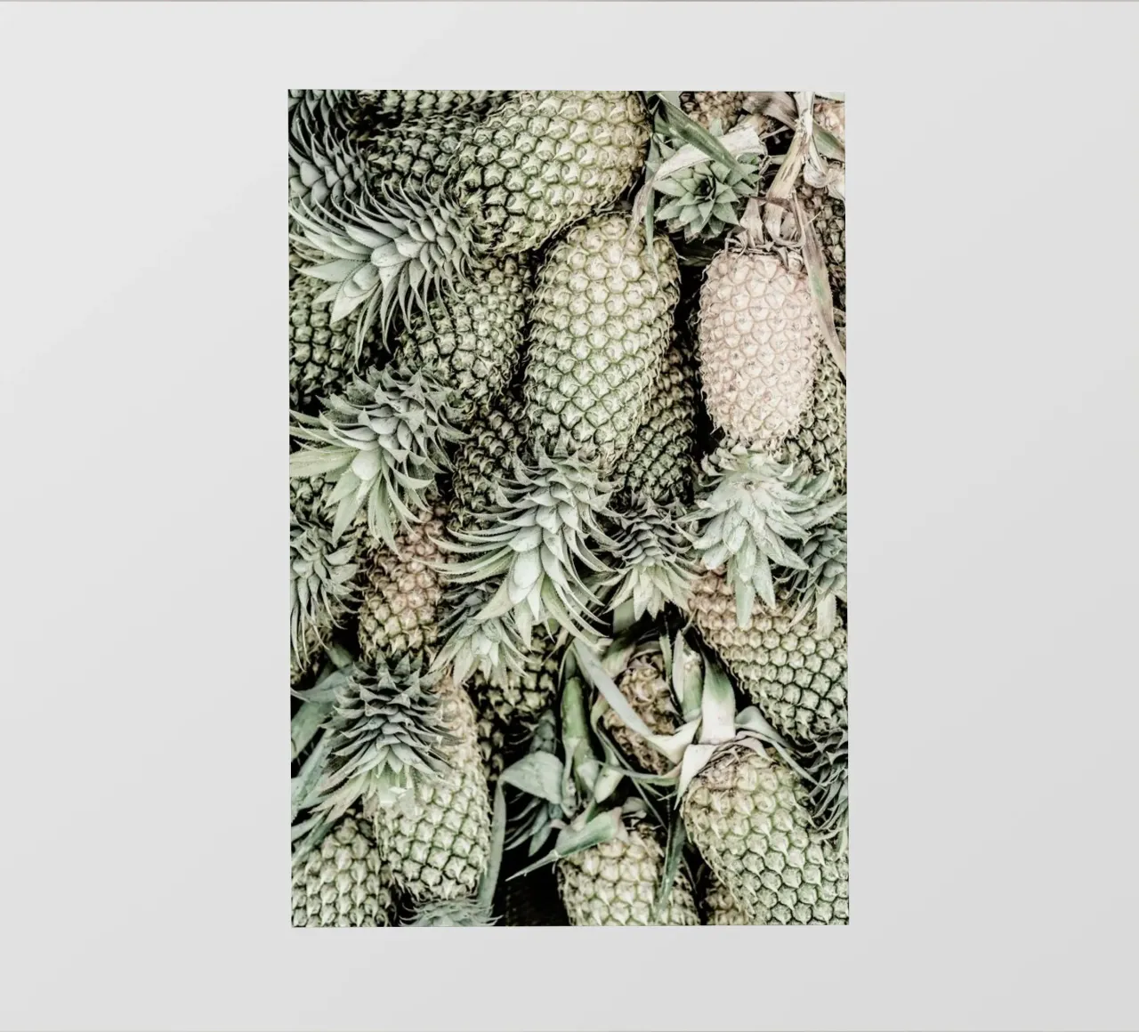 Spiced Pine pellicola backlit da Shot By Clint