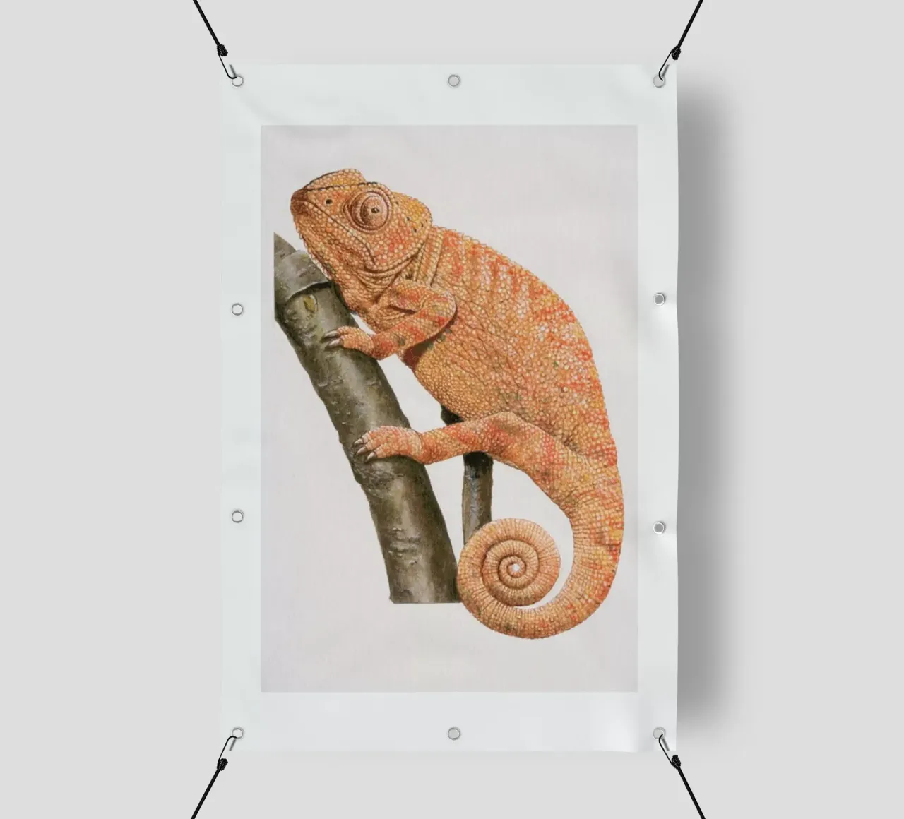 Chamaeleon telo in pvc da Flora & Fauna