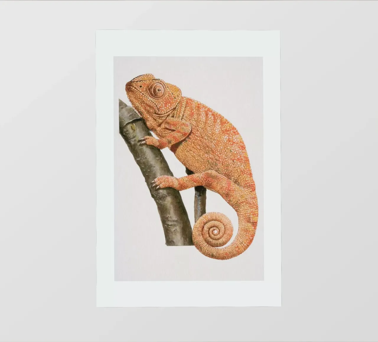 Chamaeleon telo in pvc da Flora & Fauna