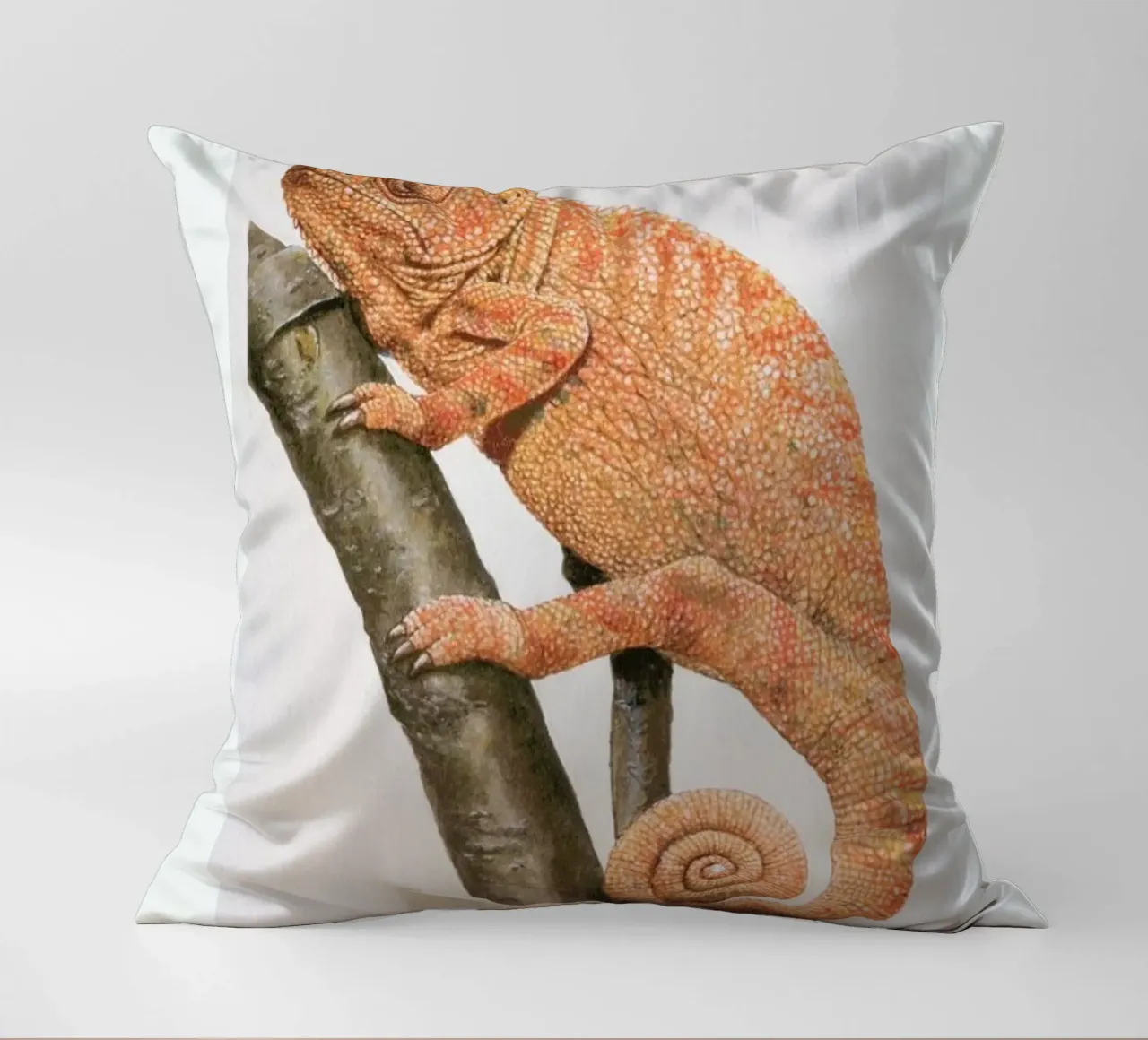 Chamaeleon cuscino da Flora & Fauna