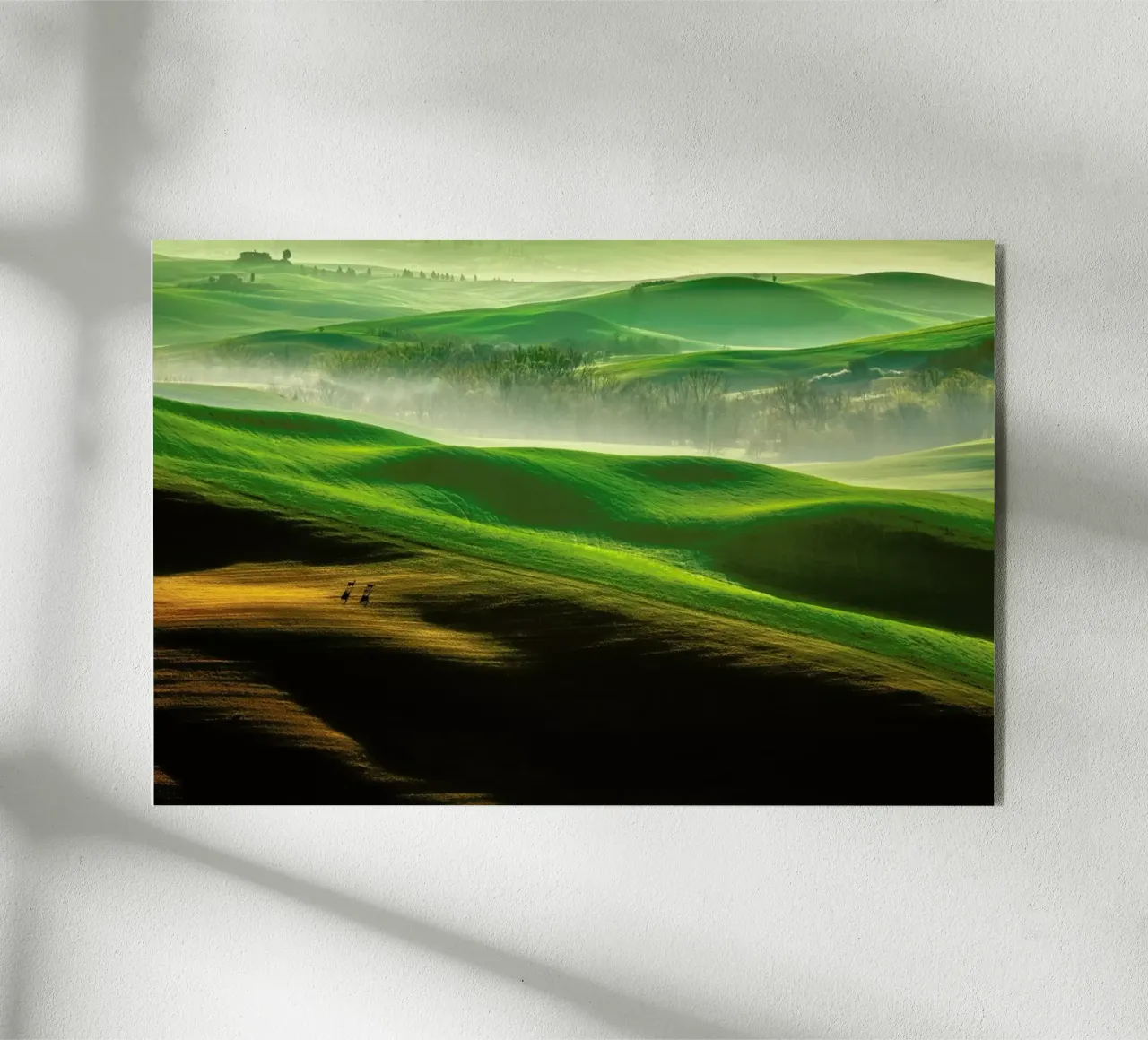 Freedom.... - Krzysztof Browko plexiglass da Pictufy