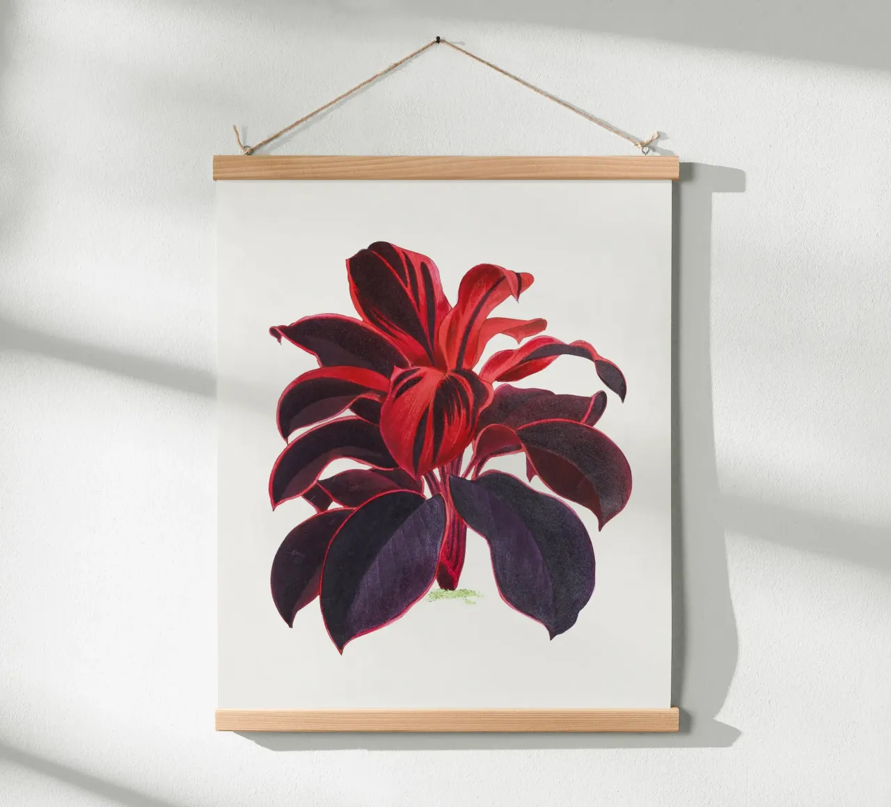 Hawaiian Ti Plant Cordyline fruticosa Botanical Illustration poster con telaio in plastica da Pretty Flowers Vintage Botanicals