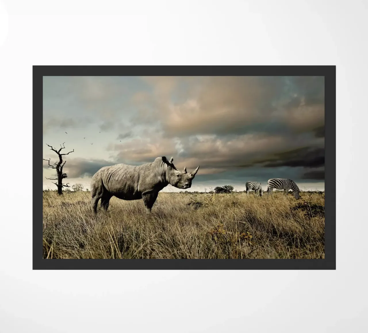 Animal Encounters zerbino da Natural Kingdom