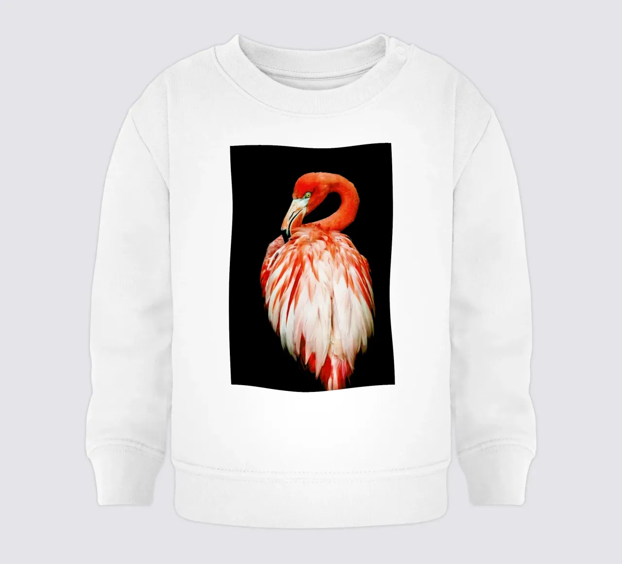 Bold Feathers felpa neonato da Natural Kingdom