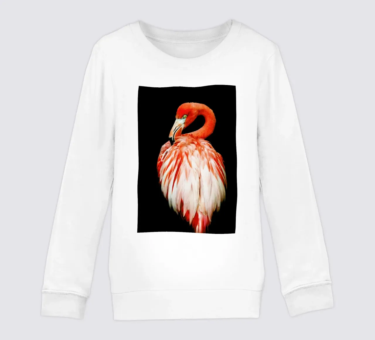 Bold Feathers felpa bambino da Natural Kingdom