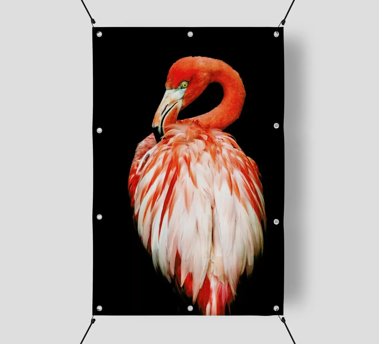 Bold Feathers telo in pvc da Natural Kingdom