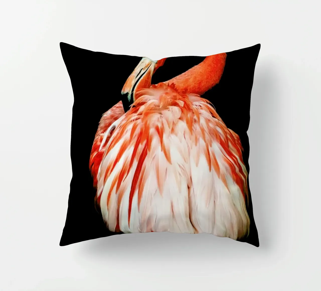 Bold Feathers cuscino da Natural Kingdom