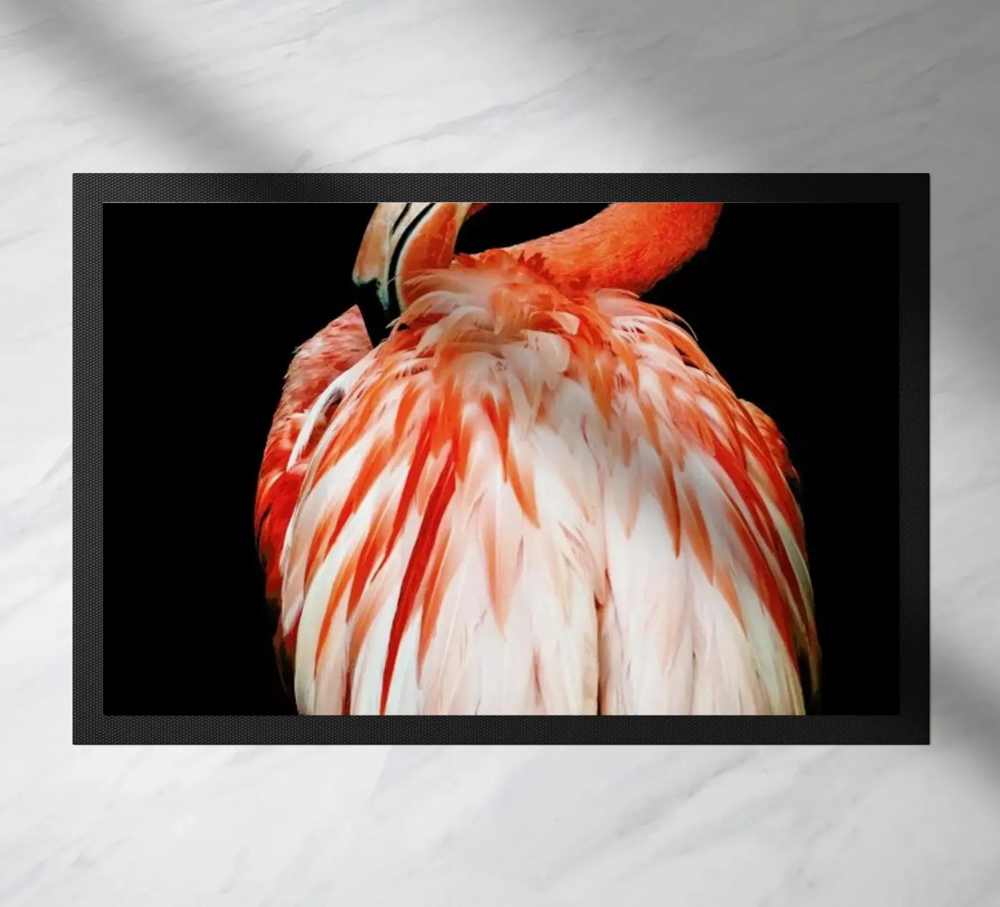 Bold Feathers zerbino da Natural Kingdom