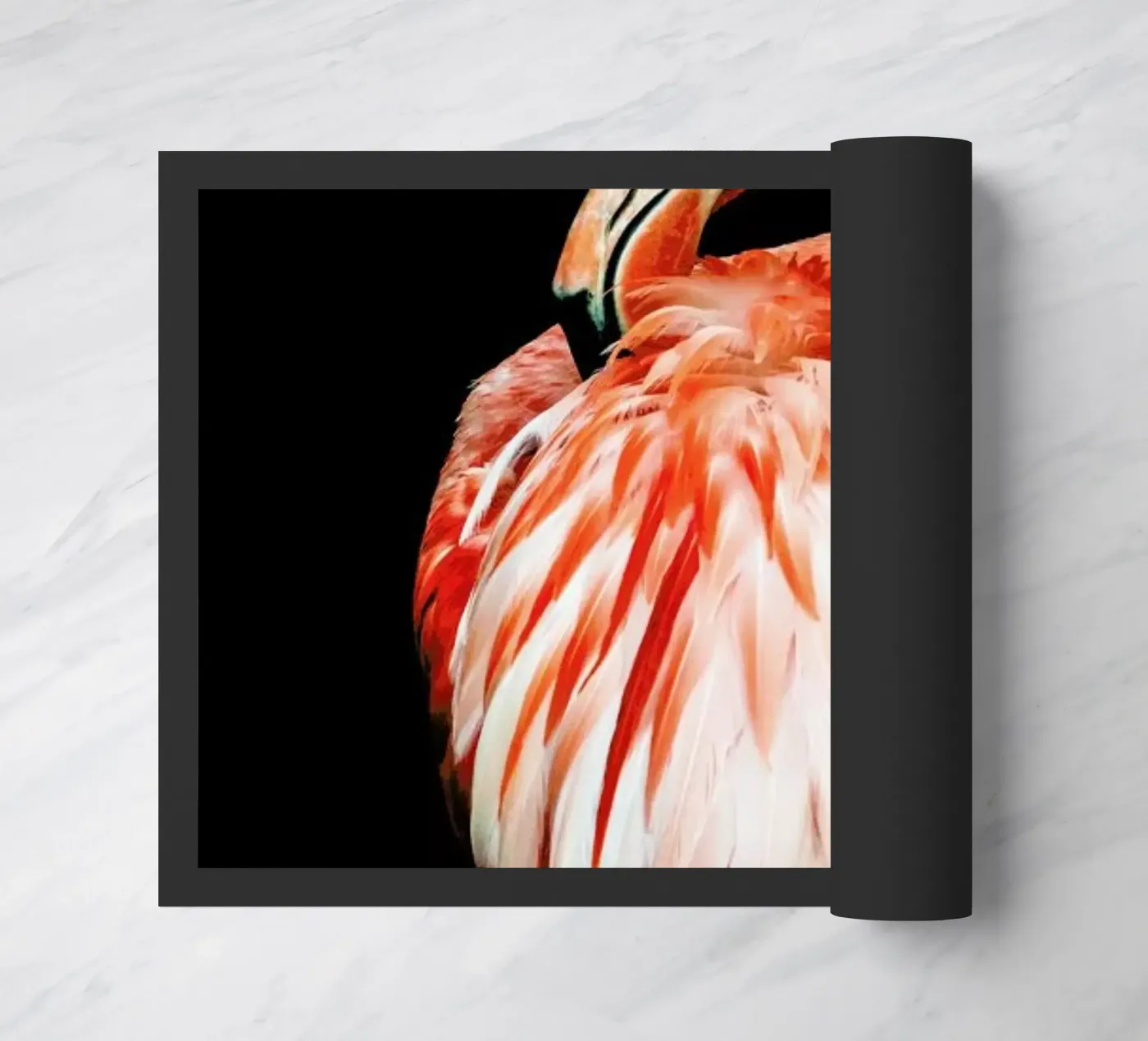 Bold Feathers zerbino da Natural Kingdom