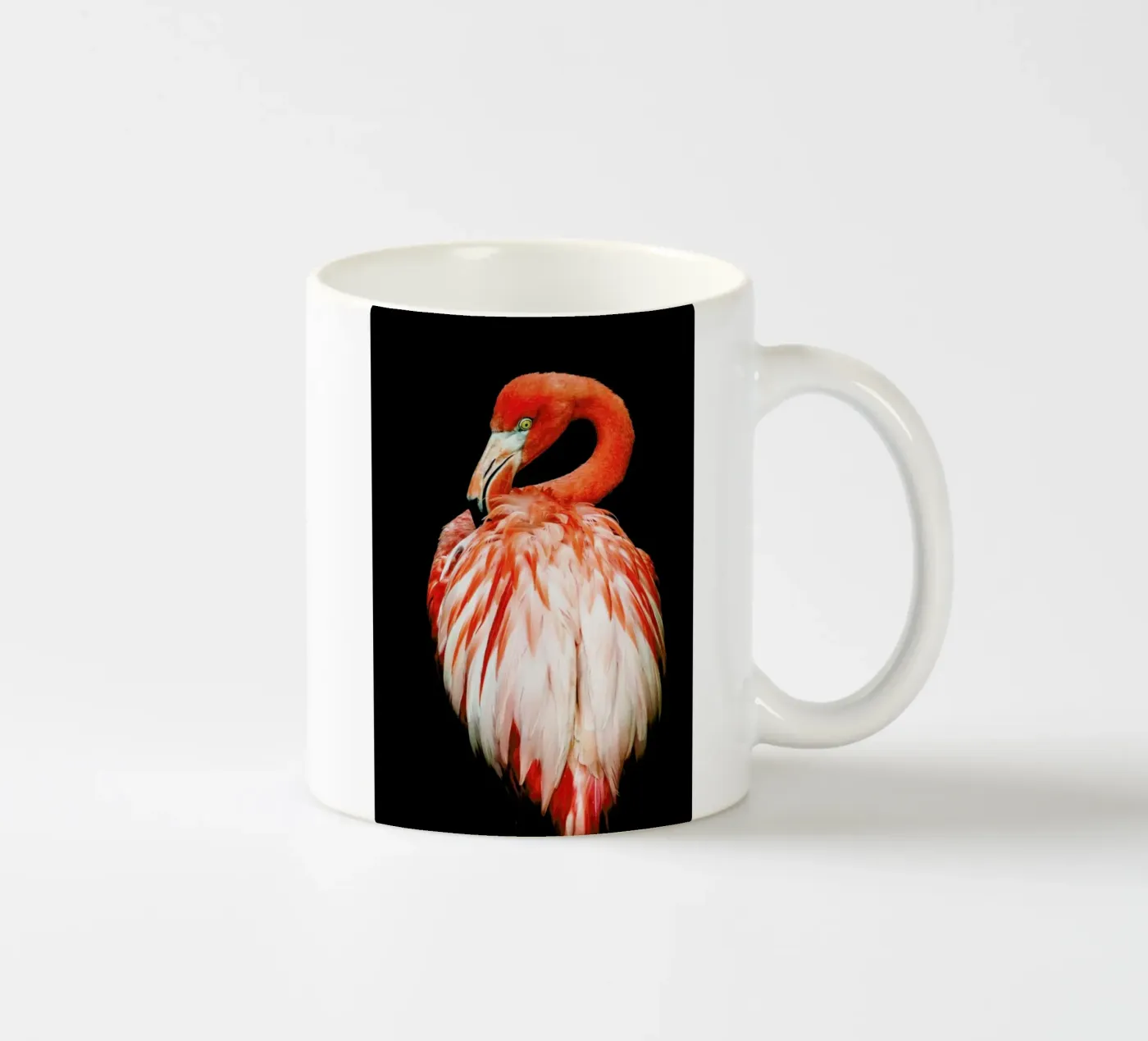 Bold Feathers ceramic mug by Natural Kingdom