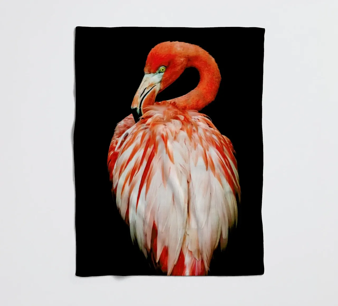 Bold Feathers coperta in pile da Natural Kingdom