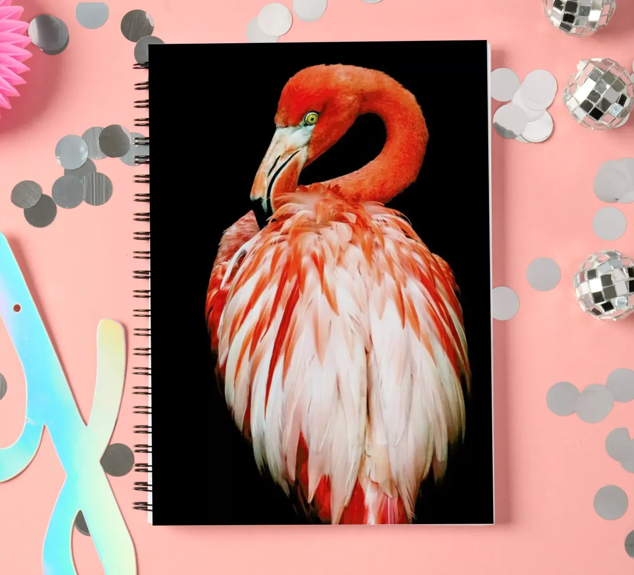 Bold Feathers carnet à spirale de Natural Kingdom