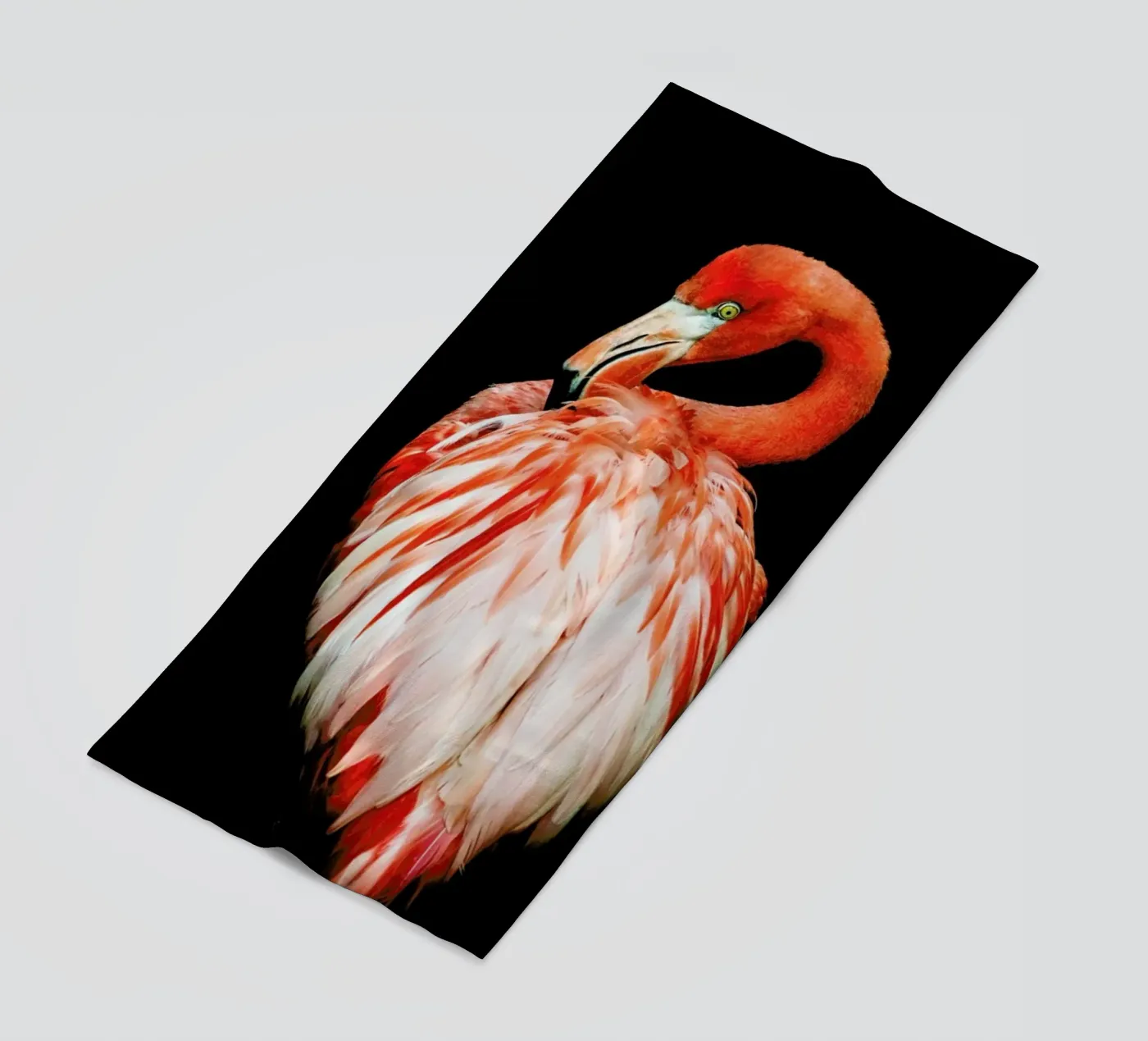 Bold Feathers Strandtuch von Natural Kingdom