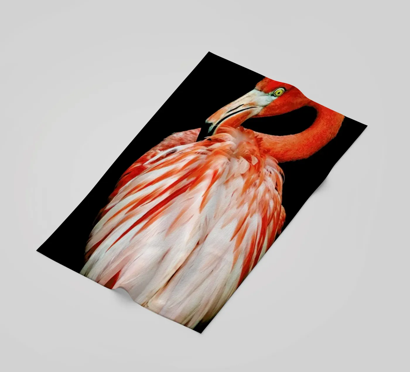 Bold Feathers Strandtuch von Natural Kingdom
