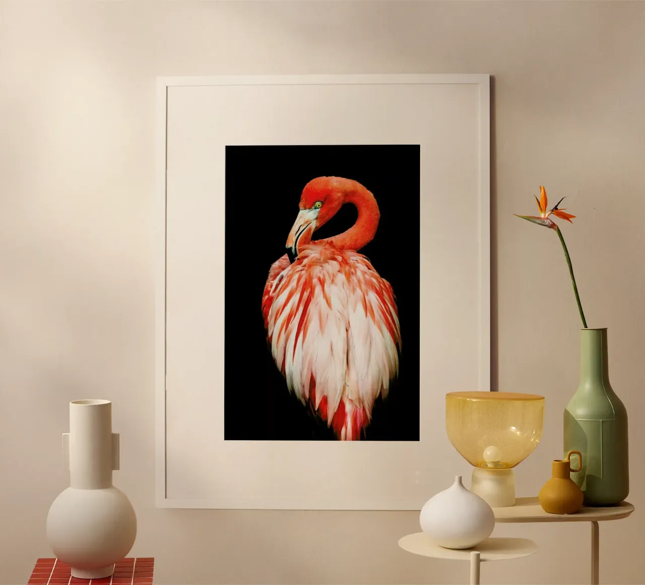 Bold Feathers poster da Natural Kingdom