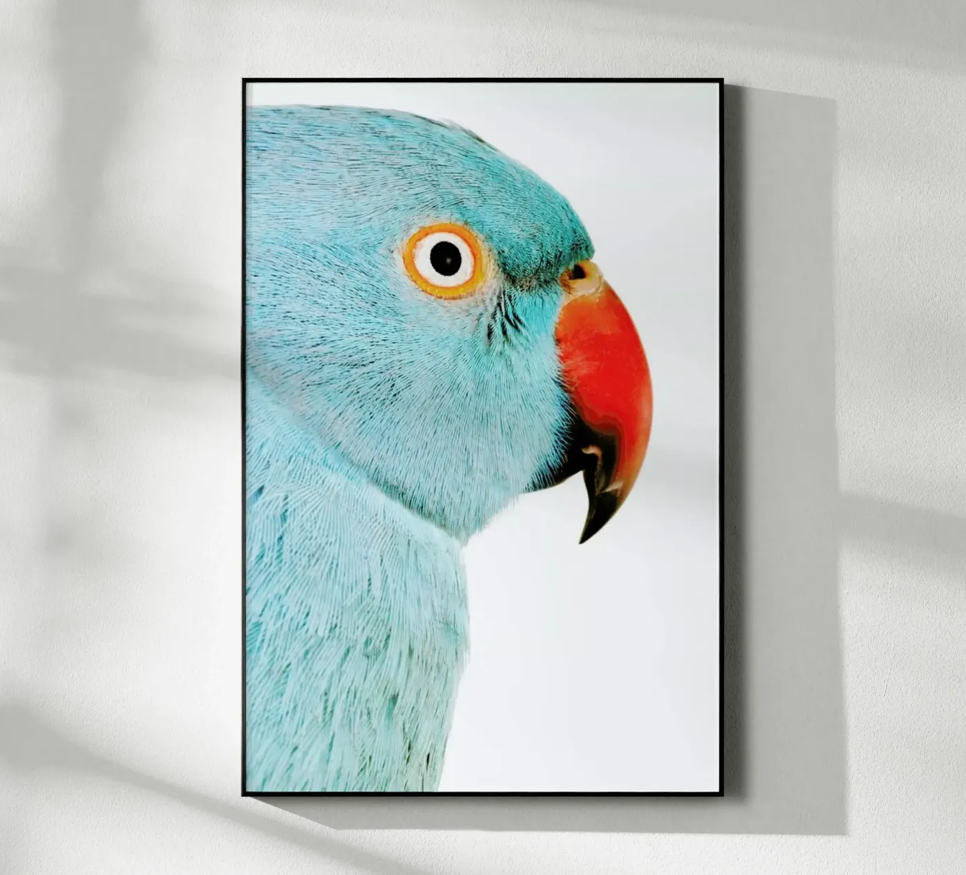 Beautifully Blue plexiglass da Natural Kingdom