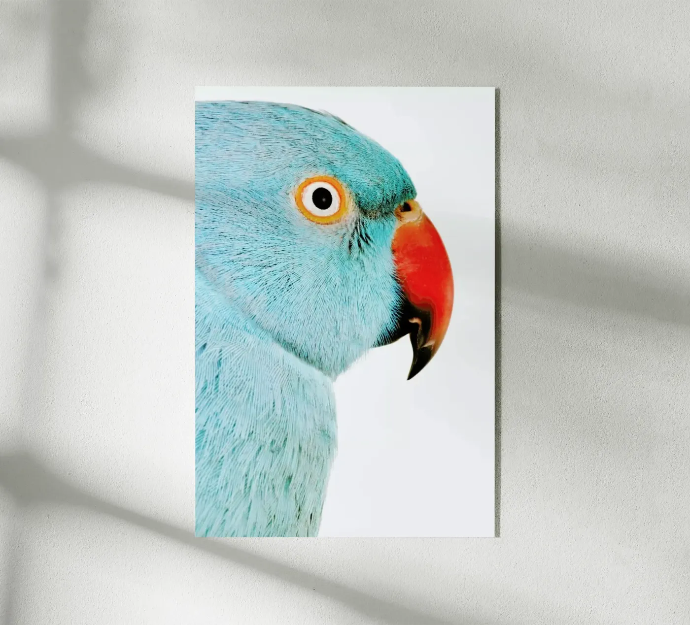 Beautifully Blue plexiglass da Natural Kingdom