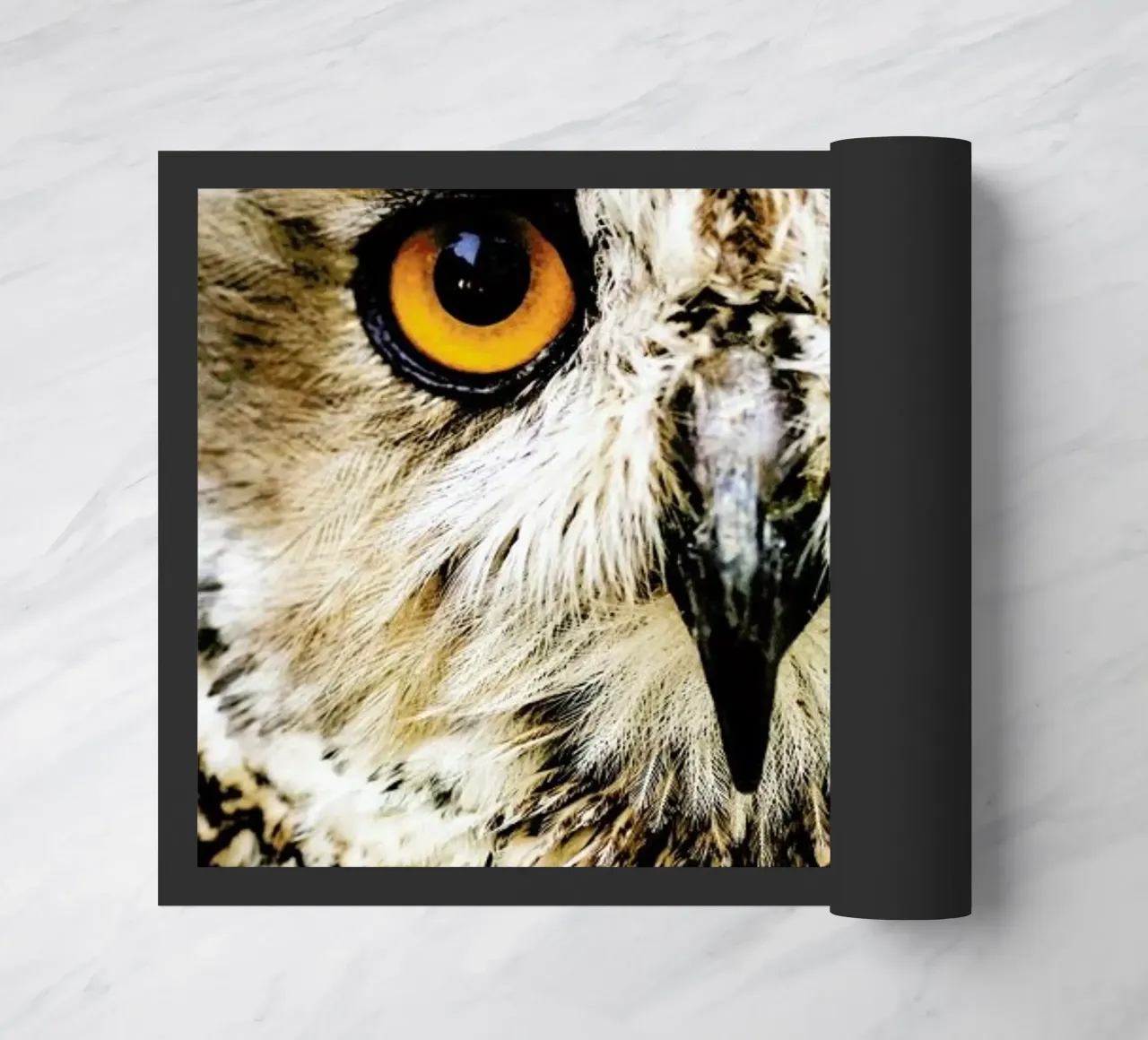 Hedwig zerbino da Natural Kingdom