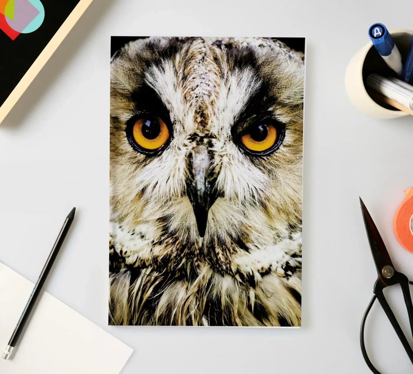 Hedwig notebook by Natural Kingdom