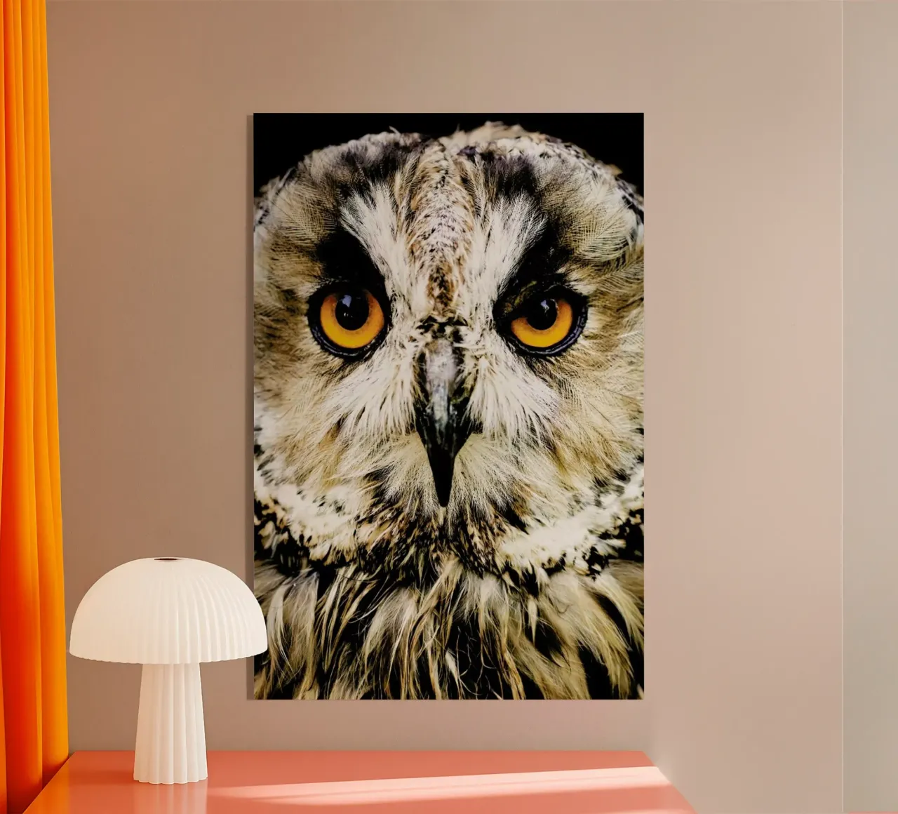 Hedwig plexiglass da Natural Kingdom